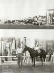 Wantha Davis, riding Jesse Dean, won in Albuquerque, New Mexico, September 27, 1939. (21kb)